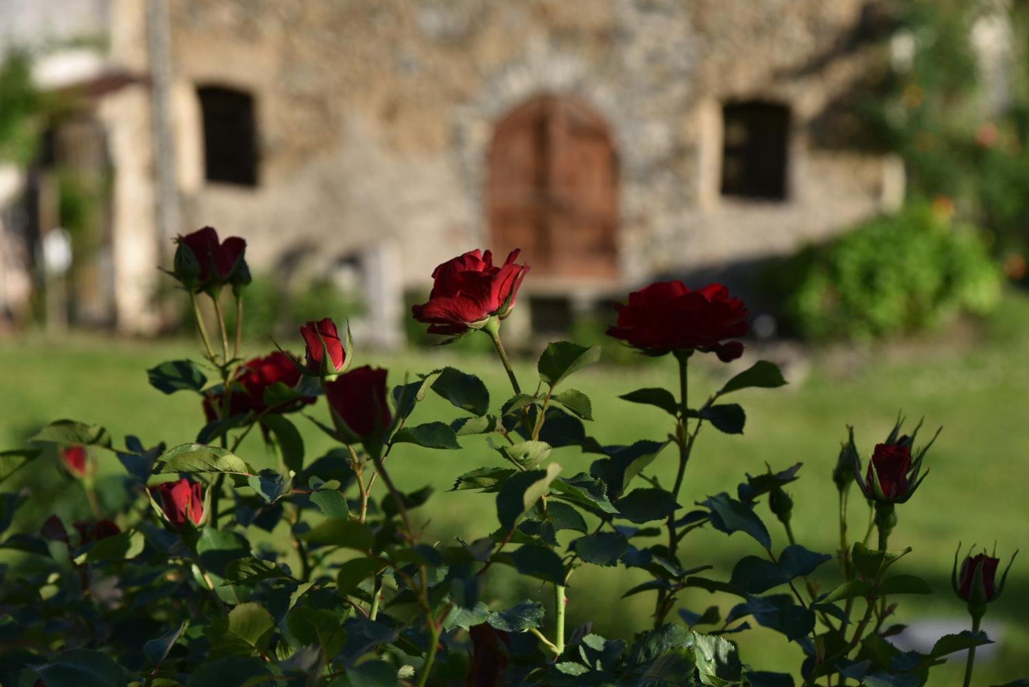 Villa Piano Nobile Al Roseto Del Drago San Bernardo  Exterior foto